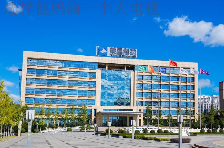 凯发娱乐科技控股未来发展探索