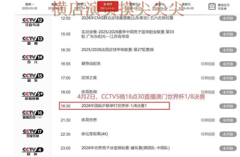 世界杯投注平台合集全面分析：聚焦玩法指南与赛事直播体验 - 世界杯直播